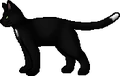 Ravenpaw.rogue.png