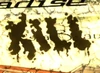 FoNV Kill