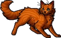 Foxheart.apprentice