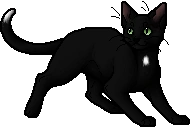 Ravenpaw.apprentice