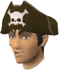 Pirate's hat chathead