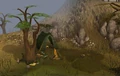 Nickolaus's camp.png