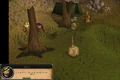 Catching the Ferret.png