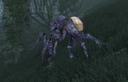 Elytra Dementia