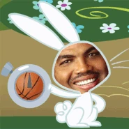 Barkley bunny