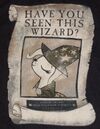 MLP - Have You Seen This Wizard