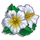 White Hibiscus-icon