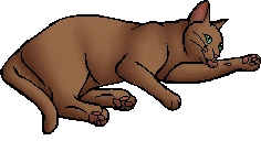 Nettlesplash.kittypet