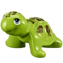 FriendsTurtle