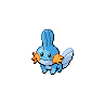 Mudkip (550 B) Mudkip