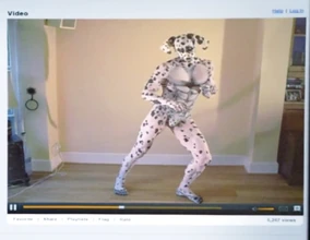 Dalmatian video