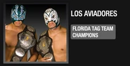 Fcw tagchamps3losAviadoresHunicoEpico