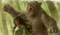 Bear