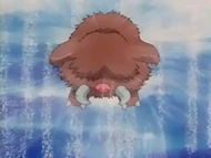 EP240 Piloswine usando ventisca