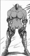 Noroi Fullbody
