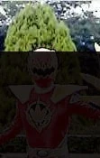 SG-badcrop2