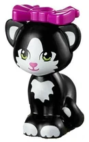 The cat