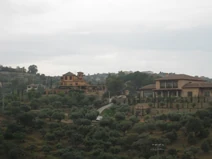 IMG 0456