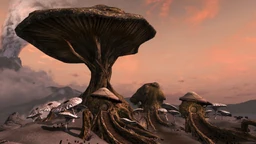 Tel Mithryn