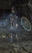 Skeleton of Alain