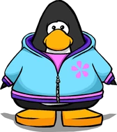 Bdhpc