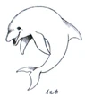 Mr. Dolphin Sketch