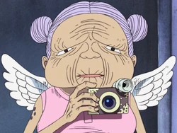 Amazon Anime Pre Timeskip Infobox