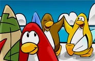Penguins at cove