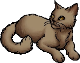 Mudfur.star
