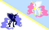 UE flag med