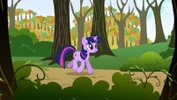Twilight strolling S01E13