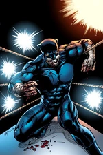 Wildcat 0001