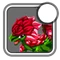 Iconrose4