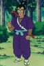 Ninja purpura