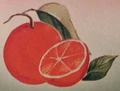 Orange.png