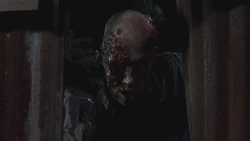 640px-Twd309-000481