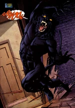 Wildcat Tom Bronson 0001