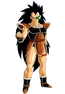 Raditz completo