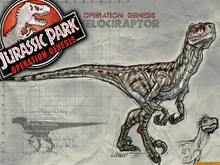 Velociraptor W