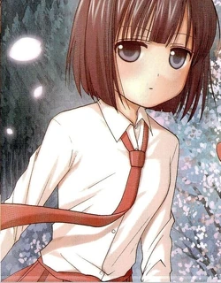Arata CV