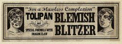 BlemishBlitzer