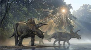 Triceratops3