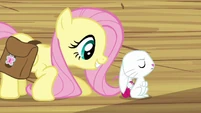 Fluttershy "Three times" S03E11