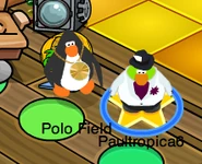 Paultropica6 with Polo Field (in Paultropica6's igloo)