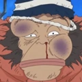 Kamonegi portrait
