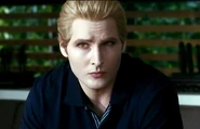 Carlisle Closeup Eclipse