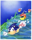 Sonic & Choppers