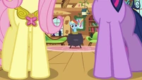 Rainbow Dash "um, hello" S03E13