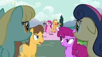Applejack singing "we'd appreciate a lot" S03E13