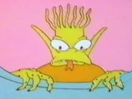 Bart maggie